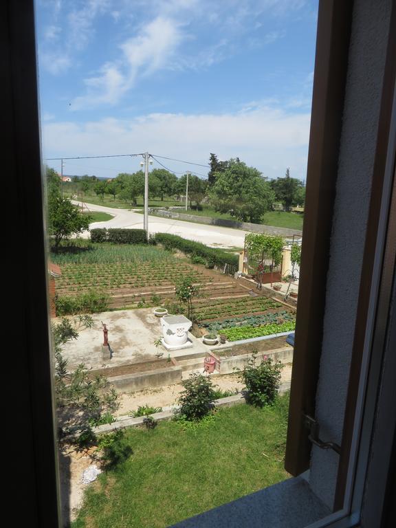 Filipovic Apartments With Pool Biograd Na Moru Ngoại thất bức ảnh
